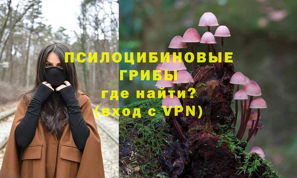 мдма Приозерск