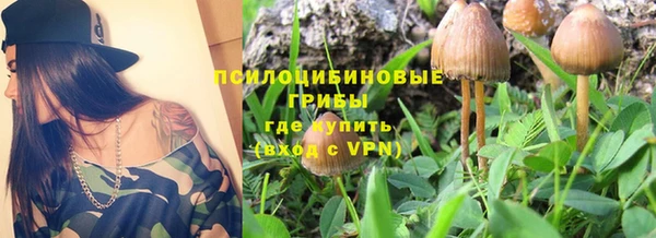 ПСИЛОЦИБИНОВЫЕ ГРИБЫ Магадан